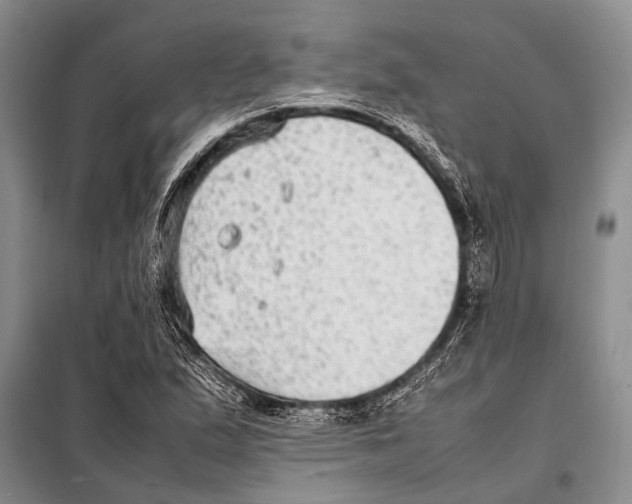 X0000097881167200804110942