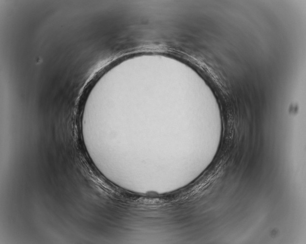 X0000097881168200804110942