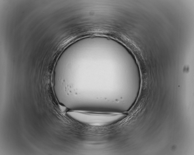 X0000097881169200804110942