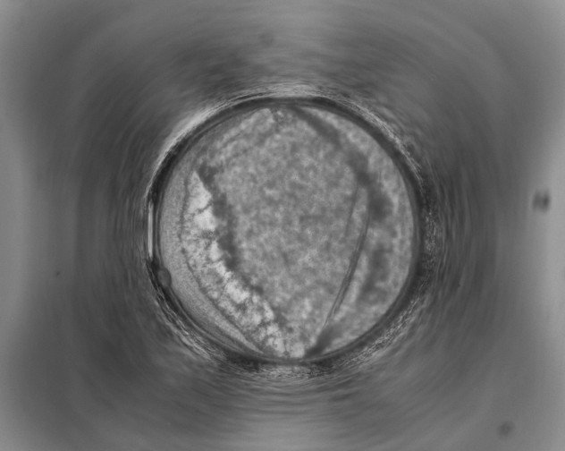 X0000097881171200804110942