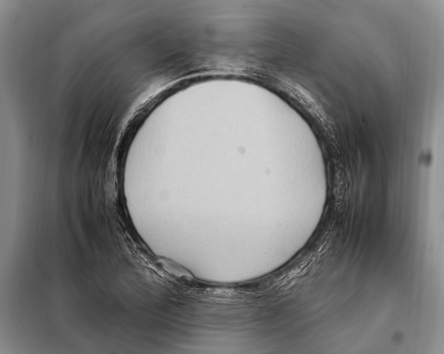 X0000097881172200804110942