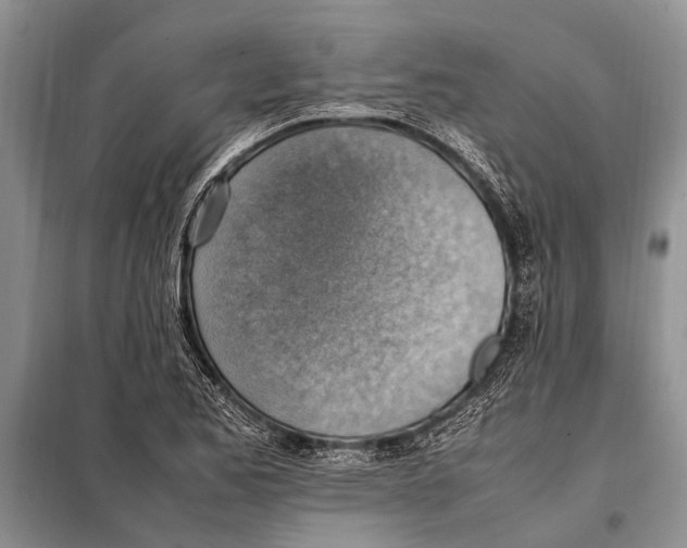 X0000097881173200804110942