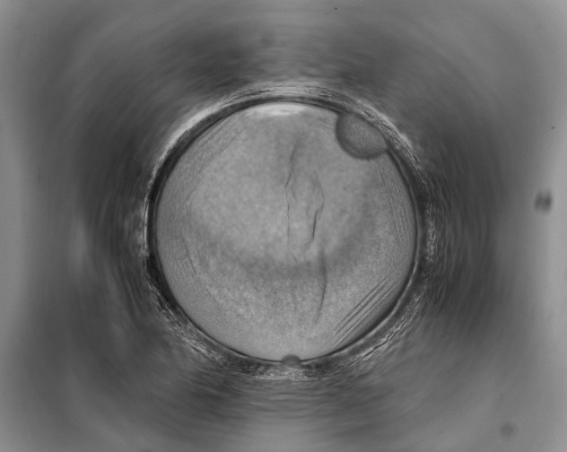 X0000097881174200804110942