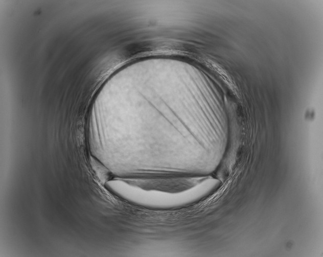 X0000097881177200804110942