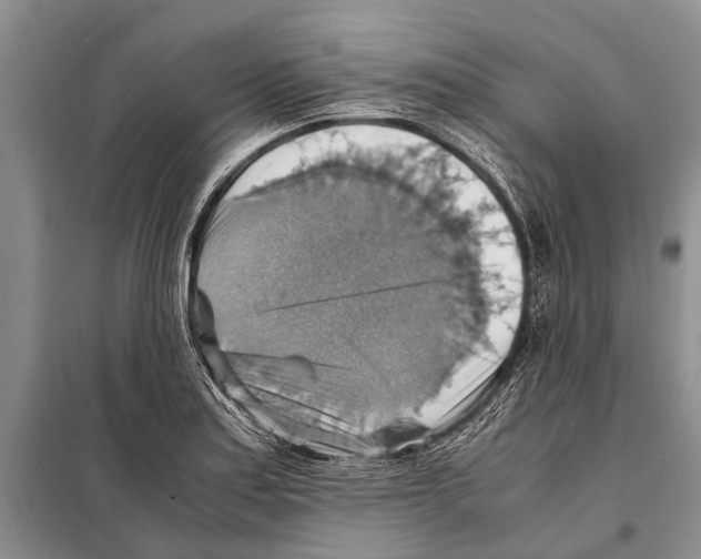 X0000097881179200804110942