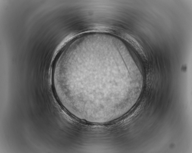 X0000097881180200804110942