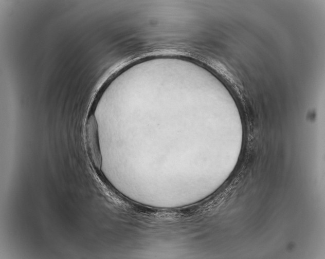 X0000097881181200804110942