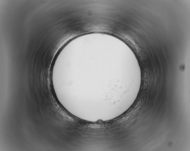 X0000097881182200804110942