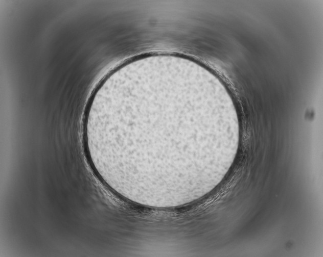 X0000097881183200804110942