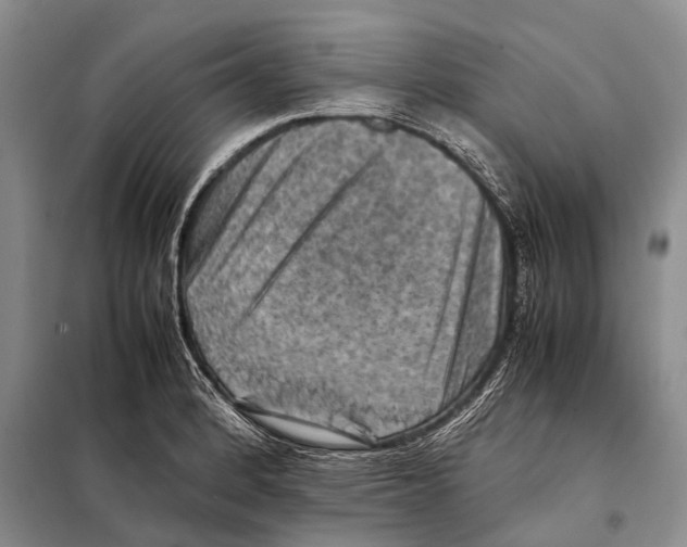 X0000097881184200804110942