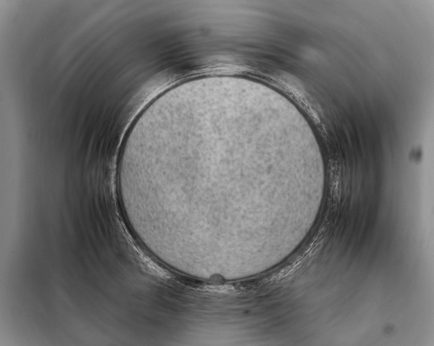 X0000097881186200804110942