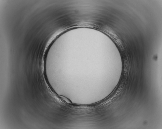 X0000097881188200804110942