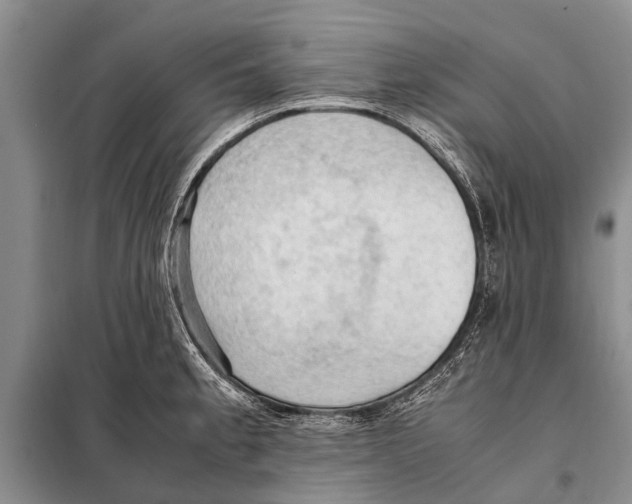 X0000097881189200804110942