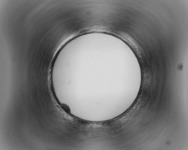 X0000097881190200804110942