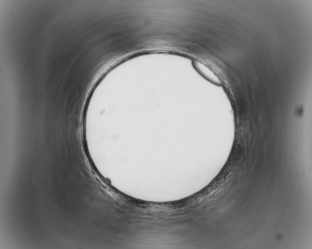 X0000097881191200804110942