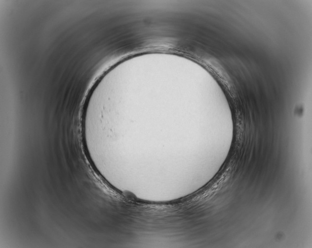 X0000097881192200804110942