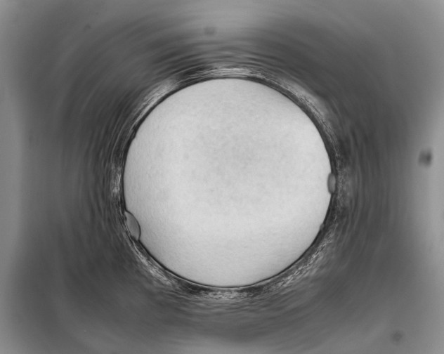 X0000097881193200804110942