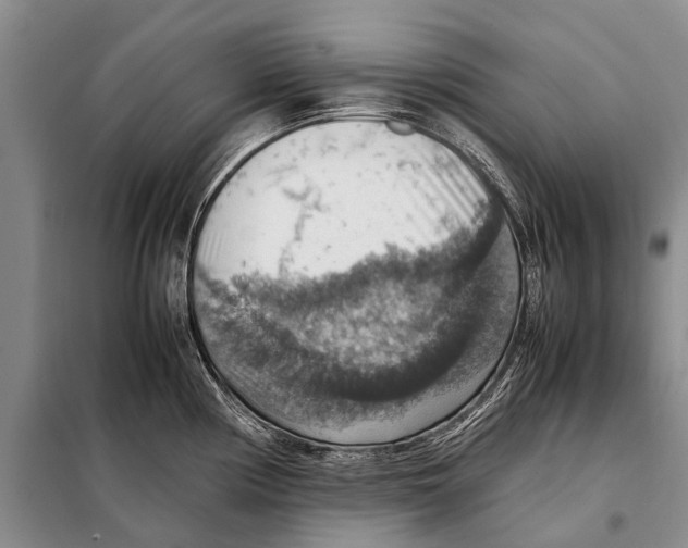 X0000097881194200804110942