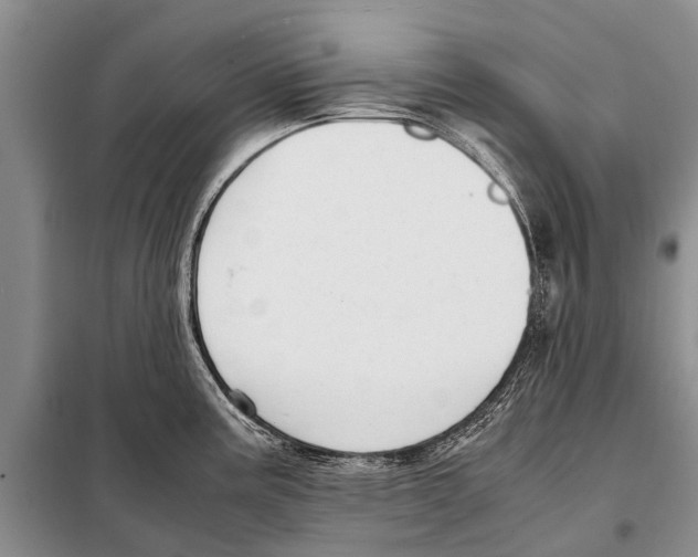 X0000097881195200804110942