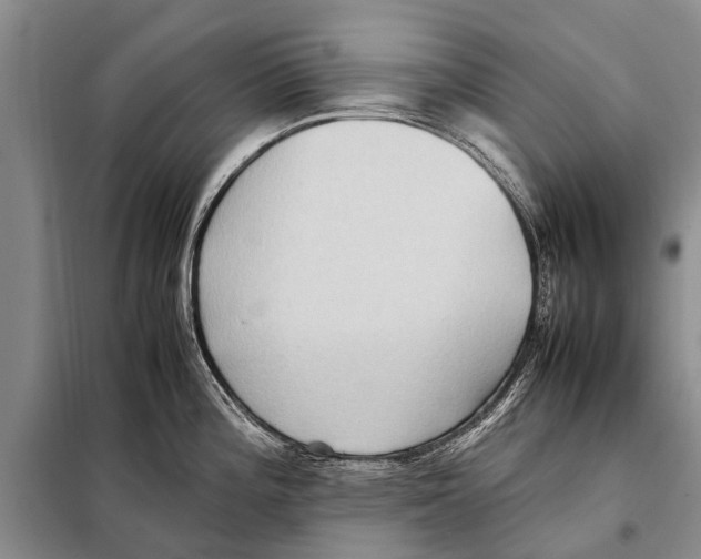 X0000097881196200804110942