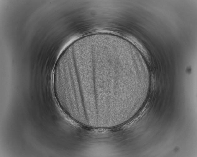 X0000097881198200804110942