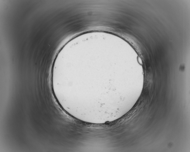 X0000097881199200804110942