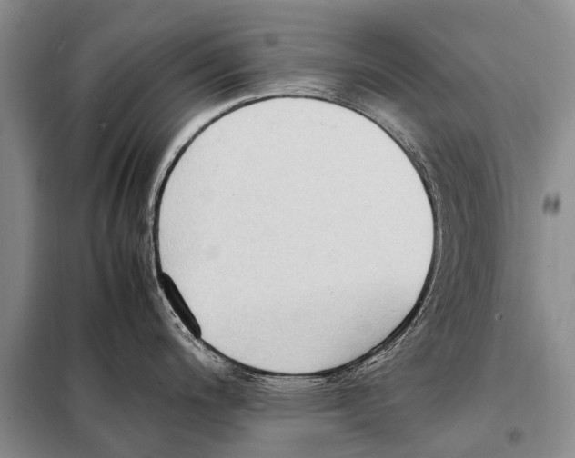 X0000097881200200804110942