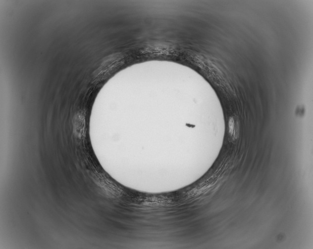 X0000097881203200804110941