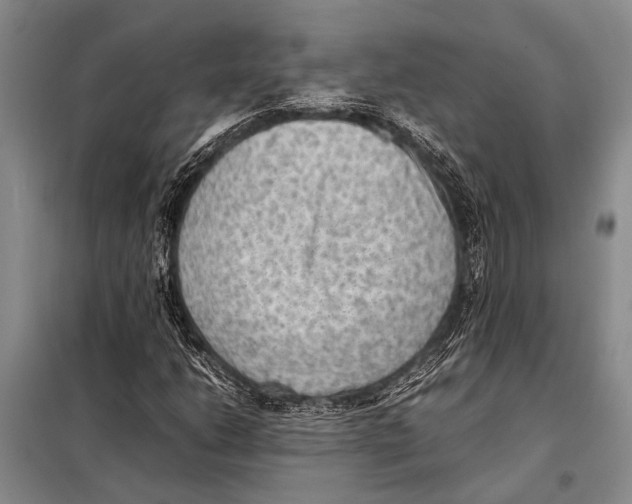 X0000097881206200804110941