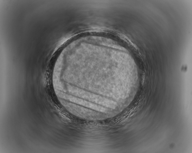 X0000097881208200804110941