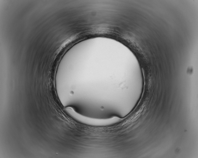 X0000097881210200804110941