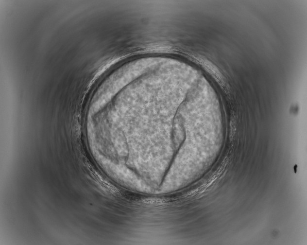 X0000097881212200804110941