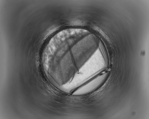 X0000097881213200804110941