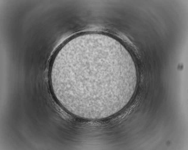 X0000097881216200804110941