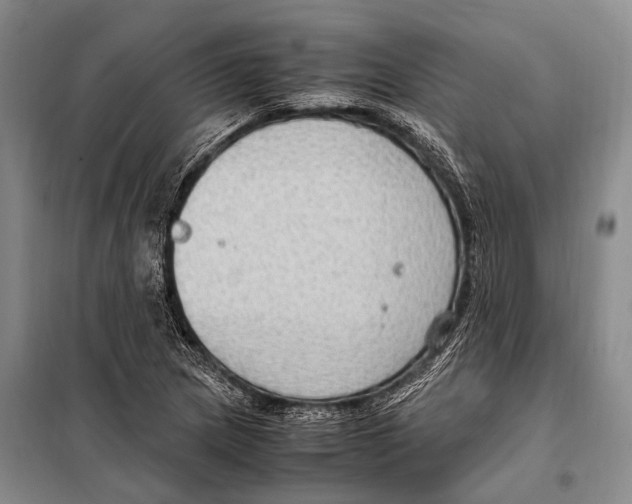 X0000097881217200804110941