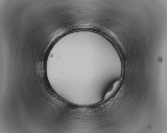 X0000097881218200804110941