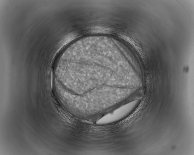 X0000097881219200804110941