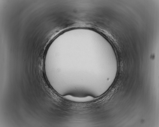 X0000097881220200804110941