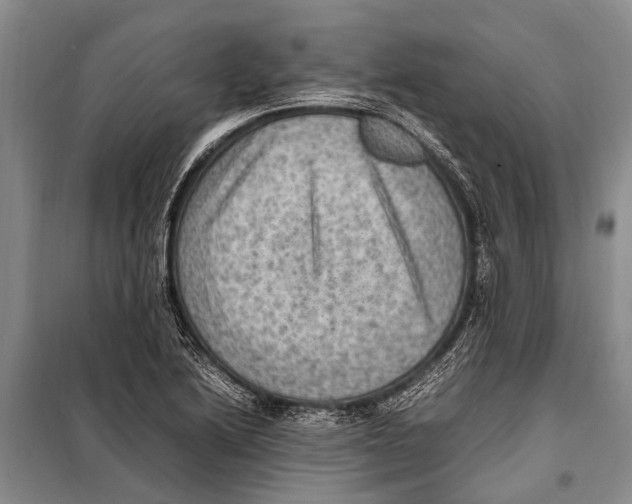 X0000097881222200804110941