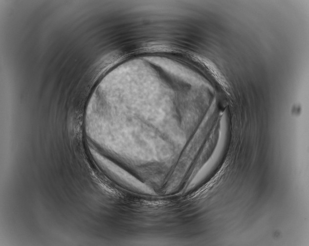 X0000097881225200804110941