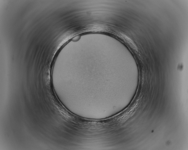 X0000097881226200804110941