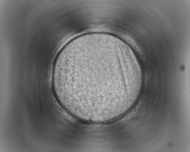 X0000097881228200804110941