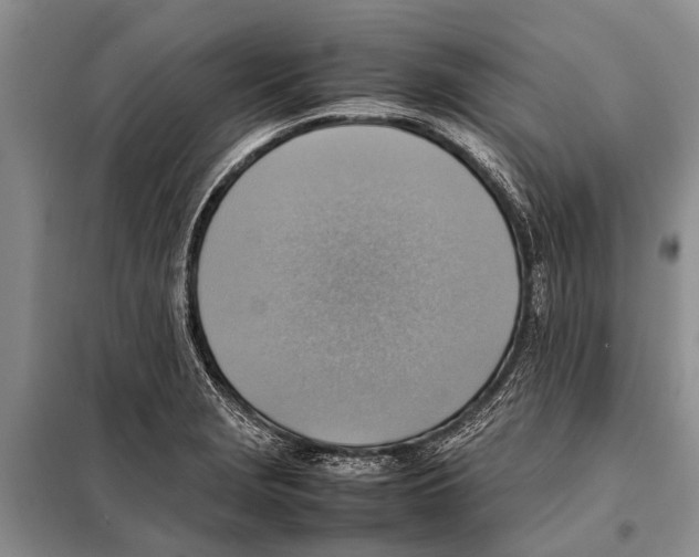 X0000097881229200804110941