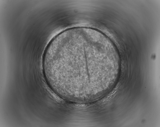 X0000097881230200804110941