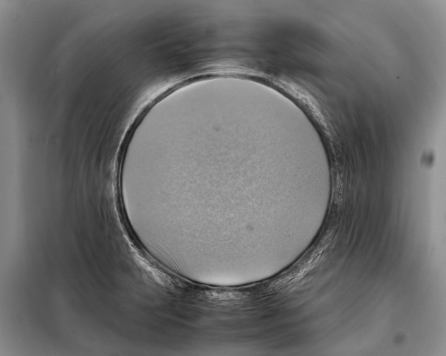 X0000097881231200804110941