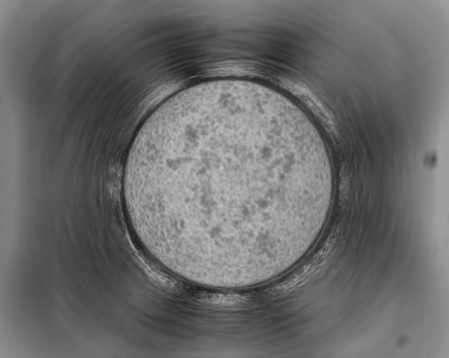 X0000097881233200804110941