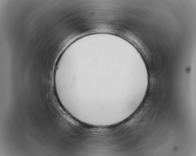 X0000097881236200804110941