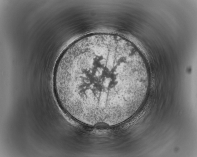 X0000097881237200804110941