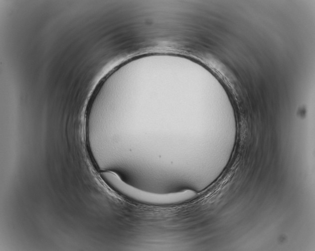 X0000097881238200804110941