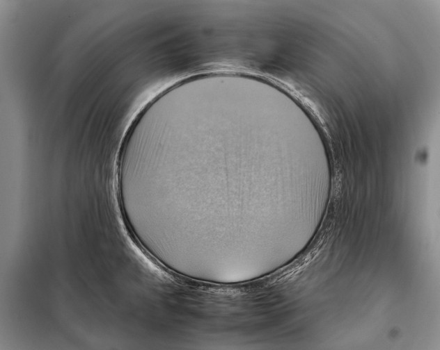 X0000097881239200804110941